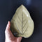 Mulberry Leaf Plate