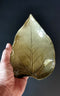 Mulberry Leaf Plate