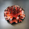 Wave Red Coral