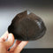 Black Glossy Mulberry Leaf Plate