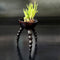 Tripod Ceramic Planter